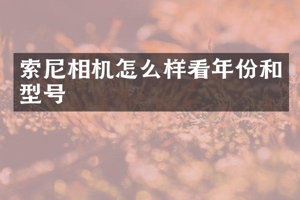 索尼相机怎么样看年份和型号