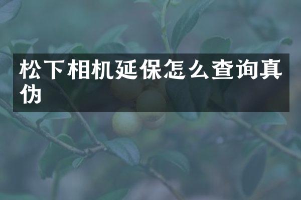 松下相机延保怎么查询真伪