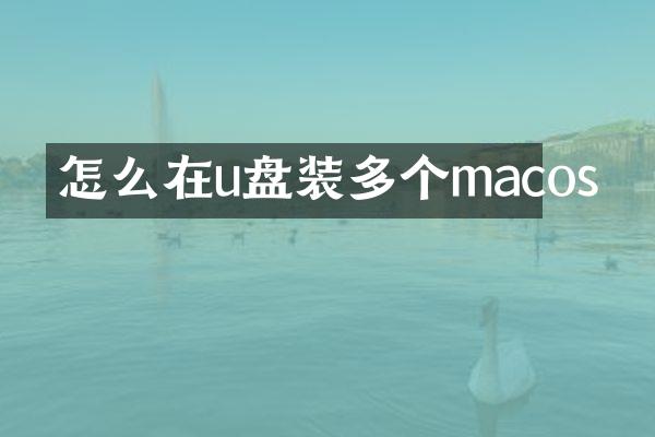 怎么在u盘装多个macos