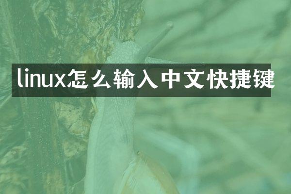 linux怎么输入中文快捷键