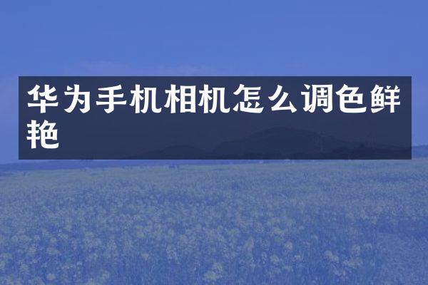 华为手机相机怎么调色鲜艳