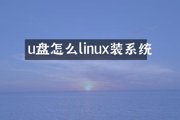 u盘怎么linux装系统