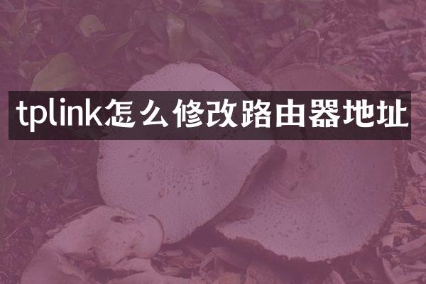 tplink怎么修改路由器地址