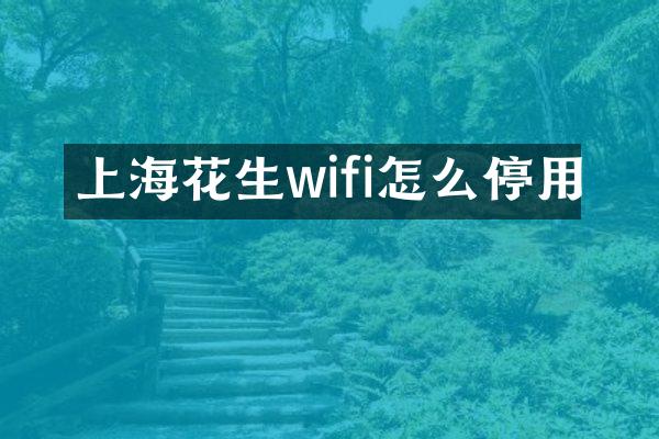 上海花生wifi怎么停用