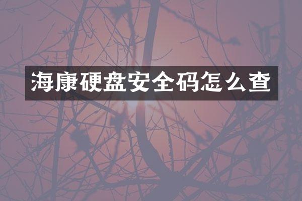 海康硬盘安全码怎么查