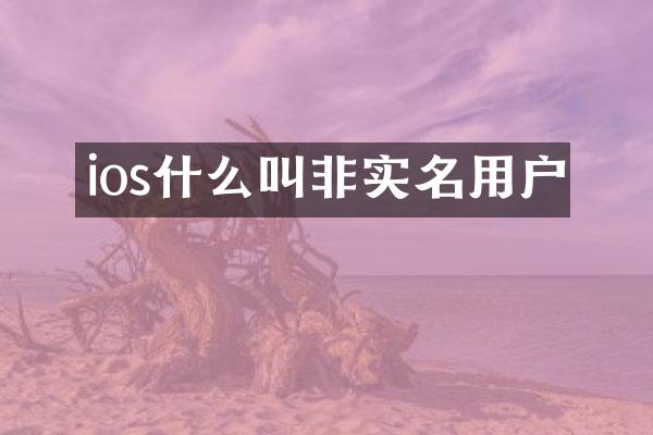 ios什么叫非实名用户
