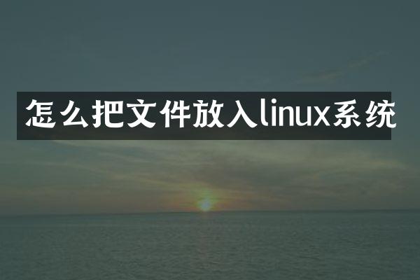怎么把文件放入linux系统