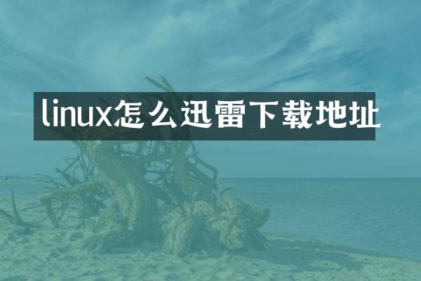 linux怎么迅雷下载地址