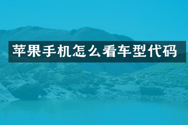 苹果手机怎么看车型代码