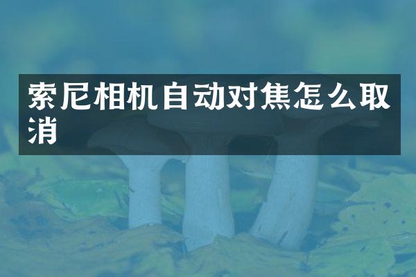 索尼相机自动对焦怎么取消
