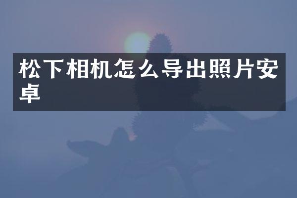 松下相机怎么导出照片安卓