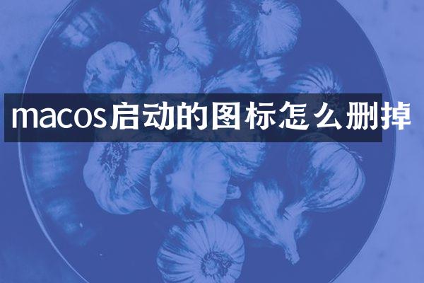 macos启动的图标怎么删掉