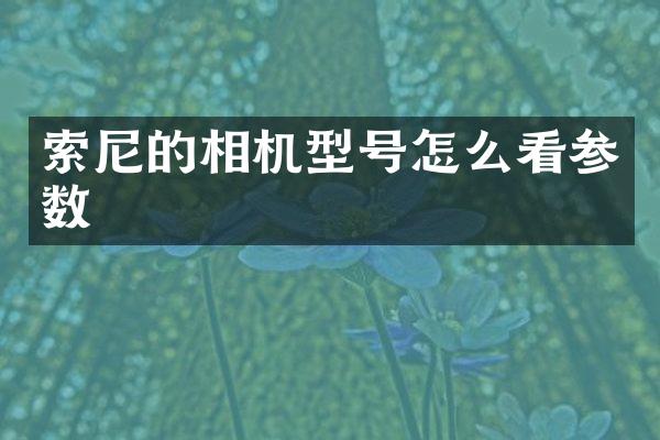 索尼的相机型号怎么看参数