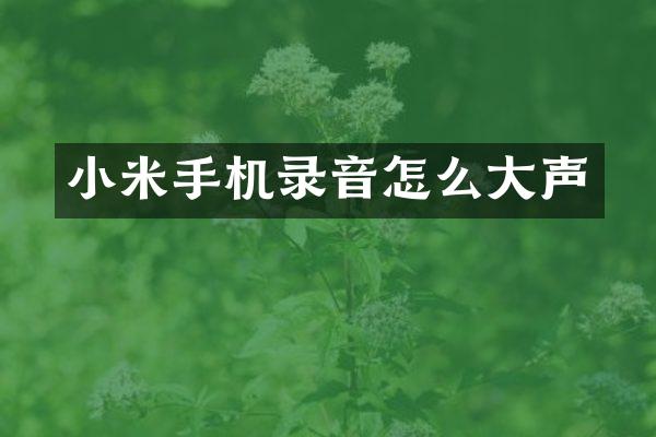 小米手机录音怎么大声