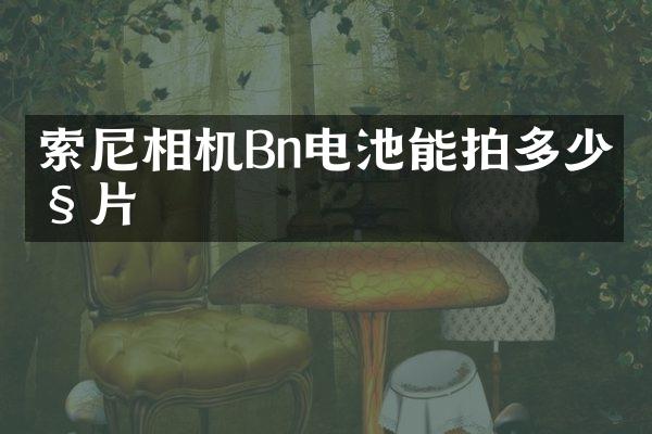 索尼相机Bn电池能拍多少照片
