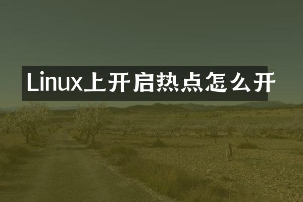 Linux上开启热点怎么开