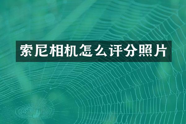 相机怎么评分照片