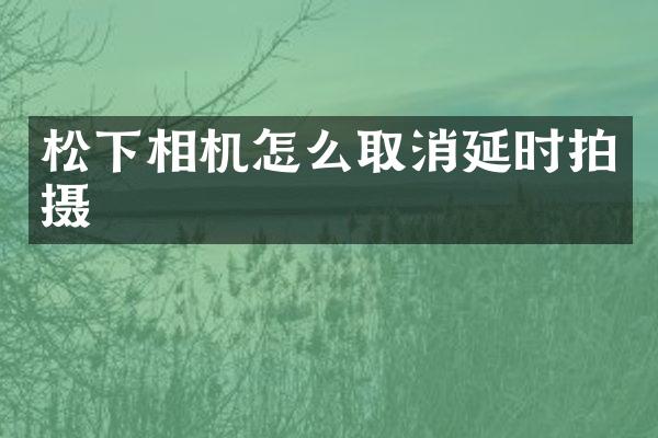 松下相机怎么取消延时拍摄