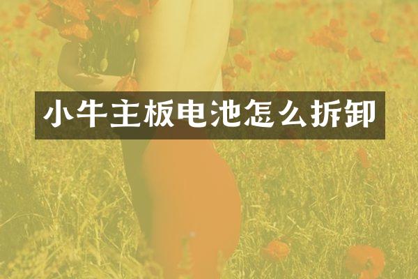 小牛主板电池怎么拆卸