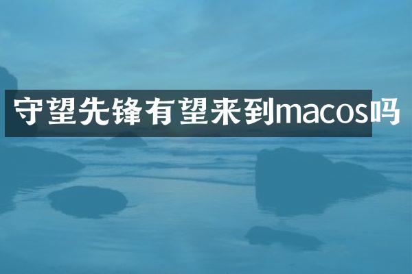 守望先锋有望来到macos吗