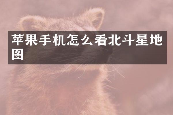 苹果手机怎么看北斗星地图
