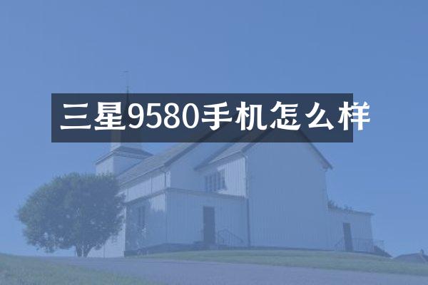 三星9580手机怎么样