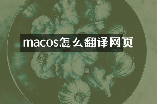 macos怎么翻译网页