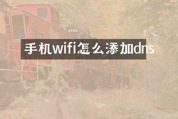 手机wifi怎么添加dns