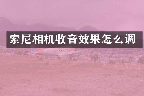 索尼相机收音效果怎么调