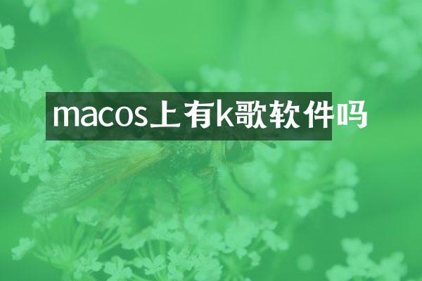 macos上有k歌软件吗