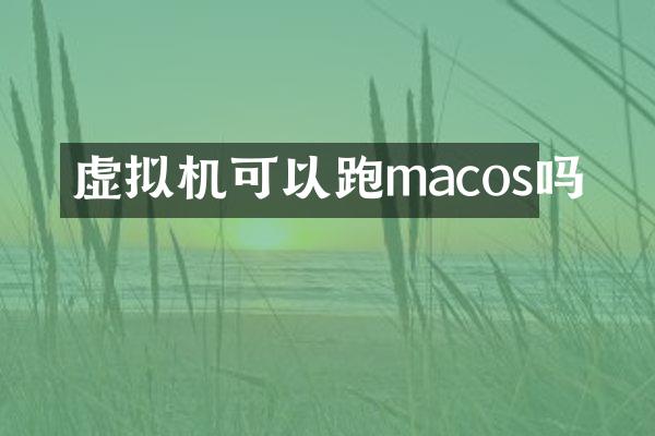虚拟机可以跑macos吗