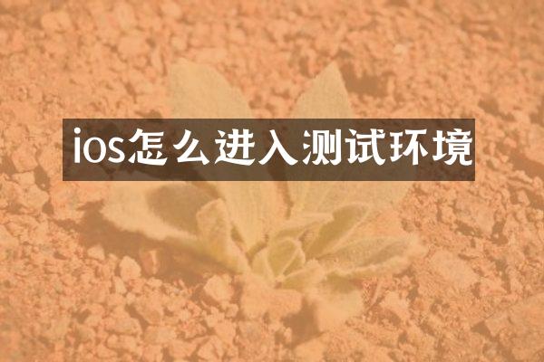 ios怎么进入测试环境