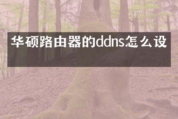 华硕路由器的ddns怎么设置