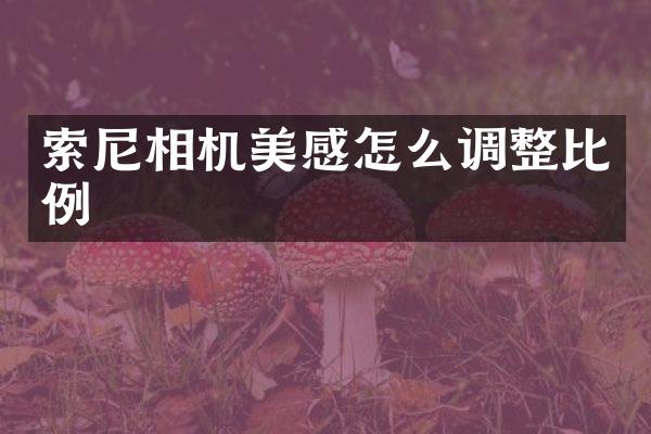 索尼相机美感怎么调整比例