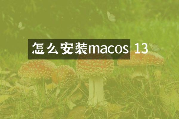 怎么安装macos 13
