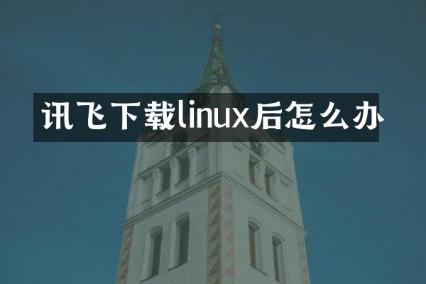 讯飞下载linux后怎么办