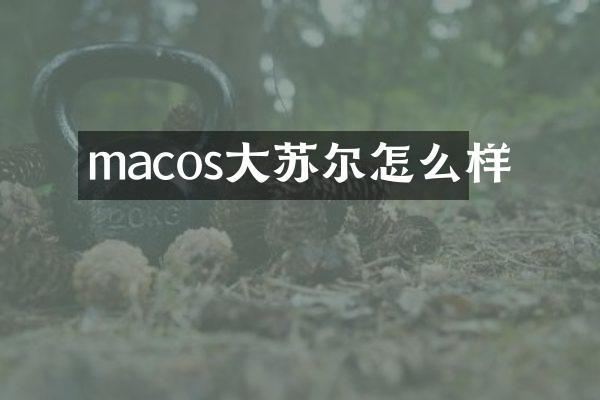 macos大苏尔怎么样