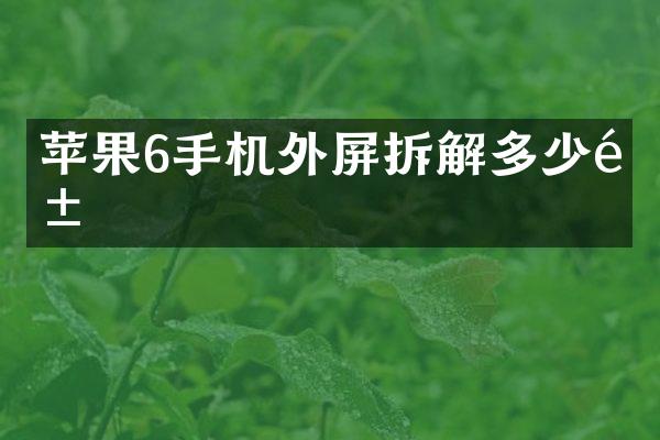 苹果6手机外屏拆解多少钱