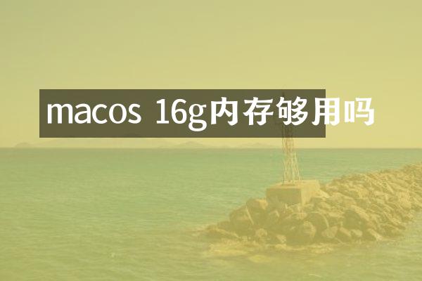 macos 16g内存够用吗