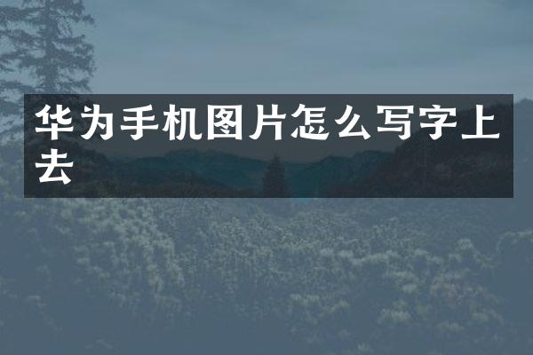 华为手机图片怎么写字上去