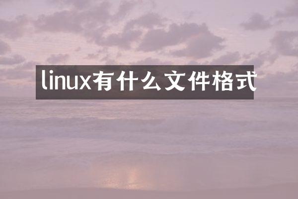 linux有什么文件格式