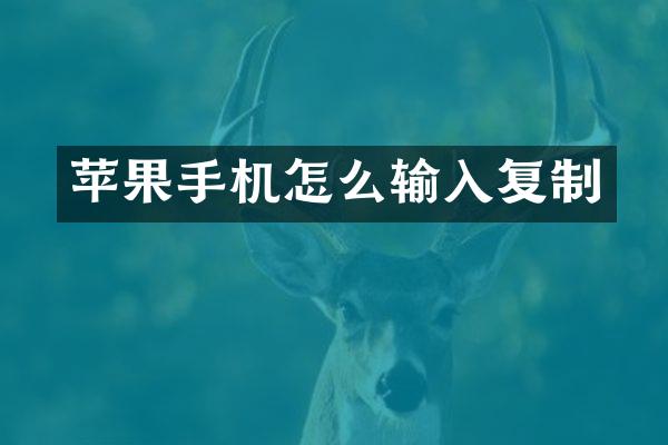 苹果手机怎么输入复制
