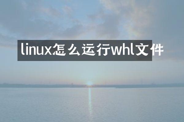 linux怎么运行whl文件