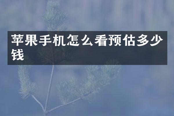苹果手机怎么看预估多少钱