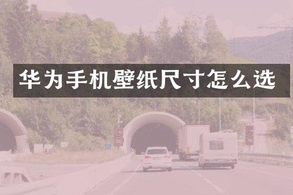 华为手机壁纸尺寸怎么选