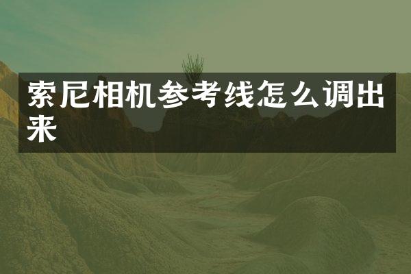 索尼相机参考线怎么调出来