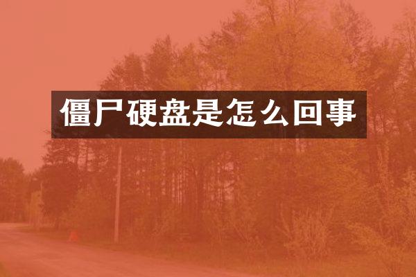 僵尸硬盘是怎么回事