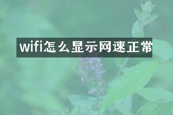 wifi怎么显示网速正常