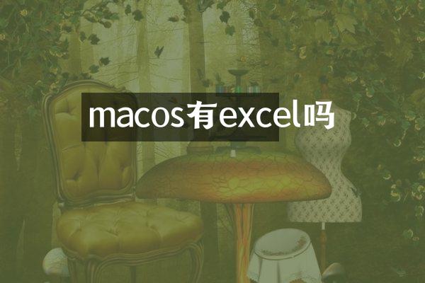 macos有excel吗