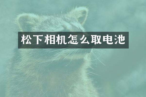 松下相机怎么取电池